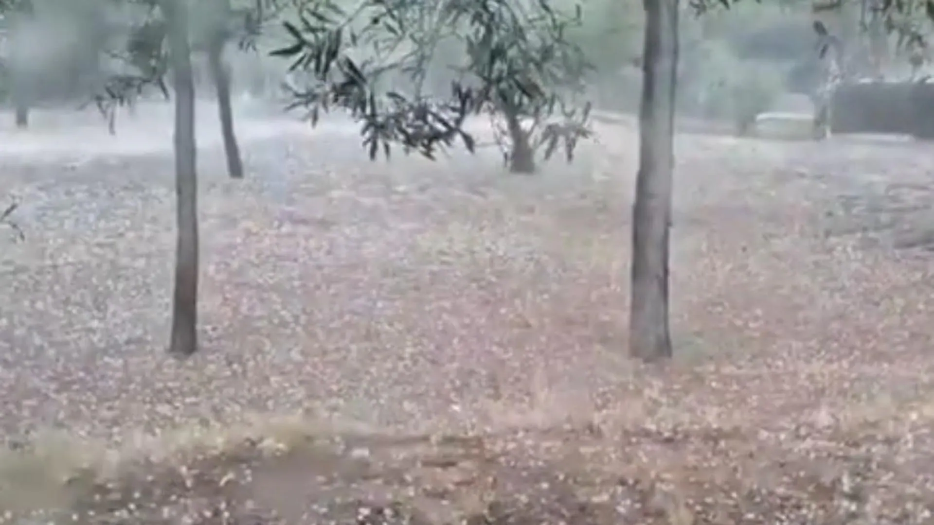 Granizo En Valencia El Granizo Llega A La Provincia De Valencia Las